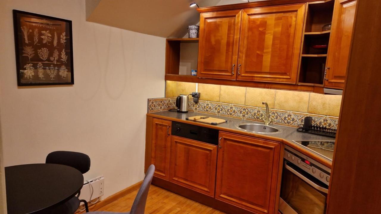 Tyzenxl Luxury Vilnius Apartments 외부 사진